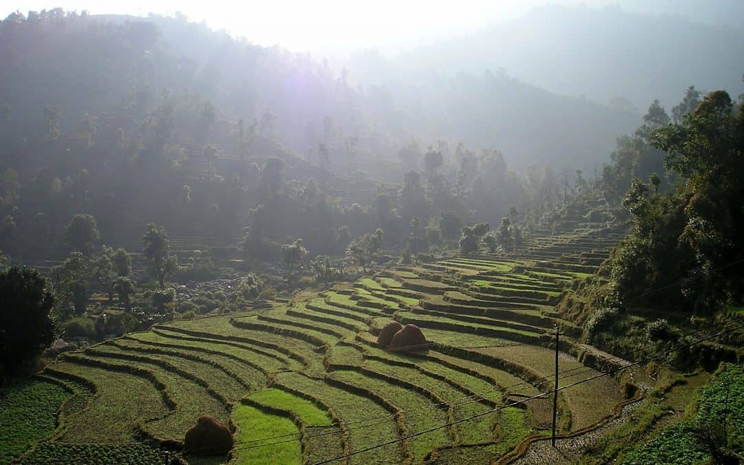 The simple agricultural kit improving life for Nepal’s terrace farmers