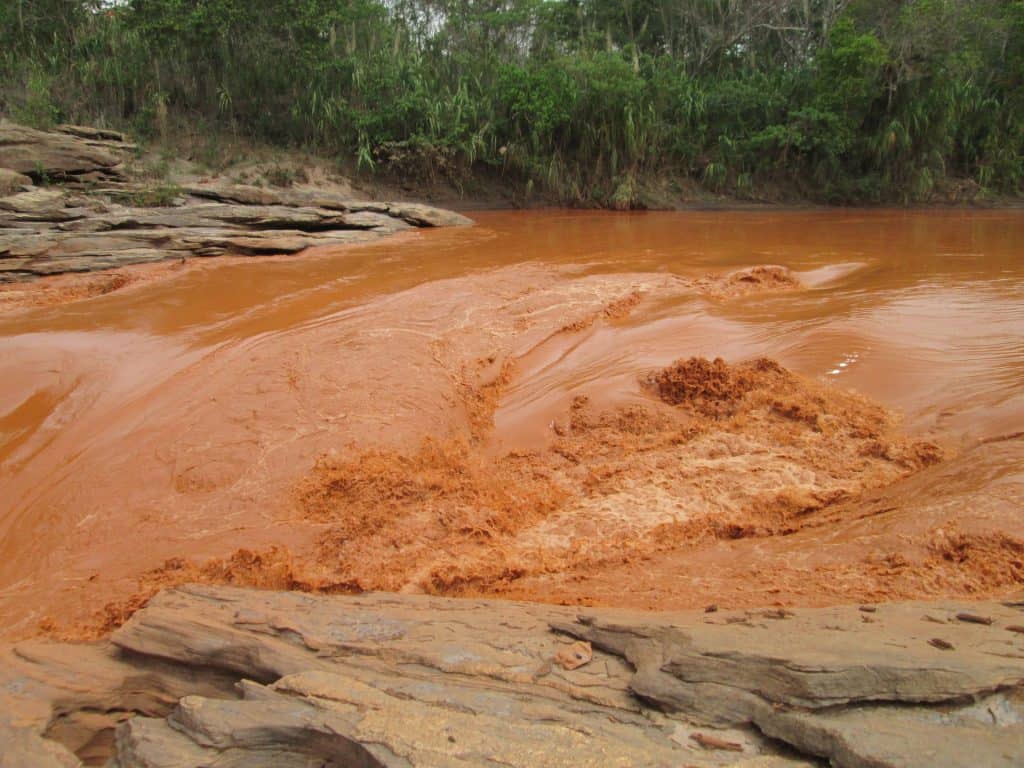 Mud flowing in the Doce River after the Samarco dam failure caused extensive damage in the marine zone where it enters the Atlantic Ocean